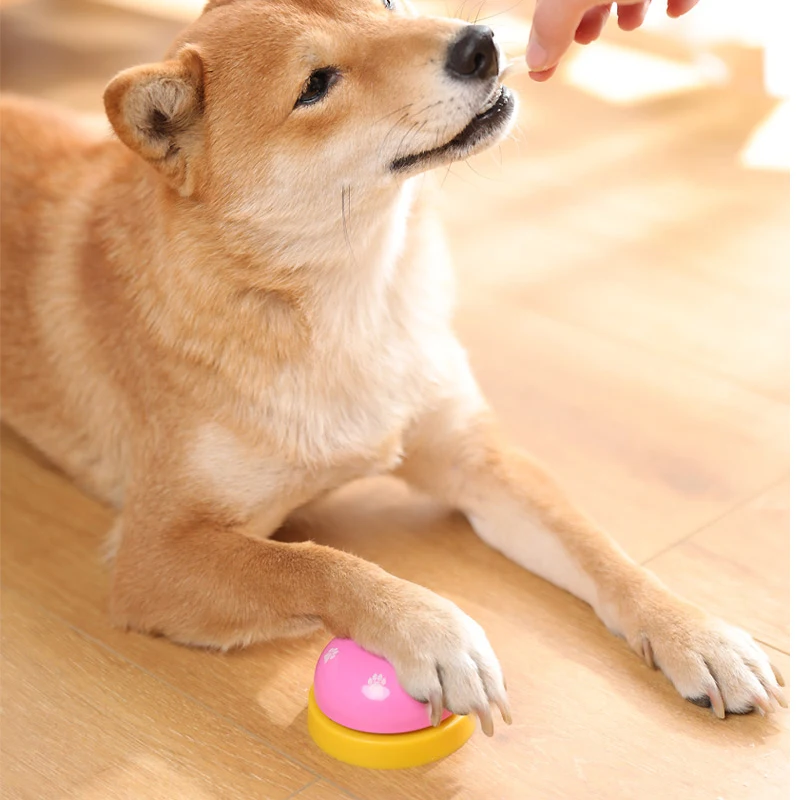 1Pc Dog Bell Ringer Kimpets Dog Bells Hand Dog Training Pet Metal No Battery Bells Puppies Cats Order Meals Supplies For Teddy
1Pc Dog Bell Ringer Kimpets Dog Bells Hand Dog Training Pet Metal No Battery Bells Puppies Cats Order Meals Supplies For Teddy