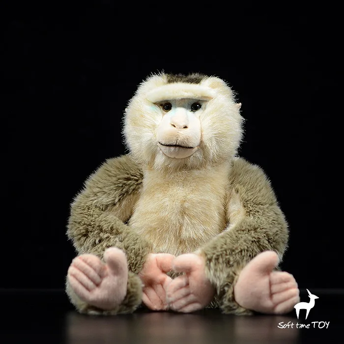 Rare Bassweed monkey Real Life plush doll Stuffed animal toy household items models baboon dolls gifts
Rare Bassweed monkey Real Life plush doll Stuffed animal toy household items models baboon dolls gifts