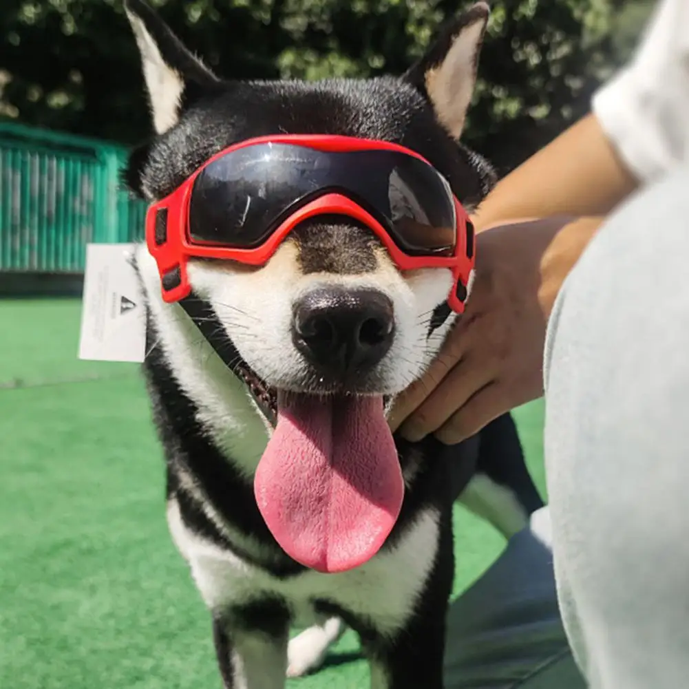 Cute Pet Dog Sunglass Fashionable Anti-Ultraviolet Adjustable Eye Protection Dog Eyewear Pet Grooming Accessories Pet Decoration
Cute Pet Dog Sunglass Fashionable Anti-Ultraviolet Adjustable Eye Protection Dog Eyewear Pet Grooming Accessories Pet Decoration