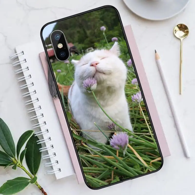 CAT funny cute animal Phone Case for iPhone 11 12 pro XS MAX 8 7 6 6S Plus X 5S SE 2020 XR Luxury brand shell funda coque
CAT funny cute animal Phone Case for iPhone 11 12 pro XS MAX 8 7 6 6S Plus X 5S SE 2020 XR Luxury brand shell funda coque