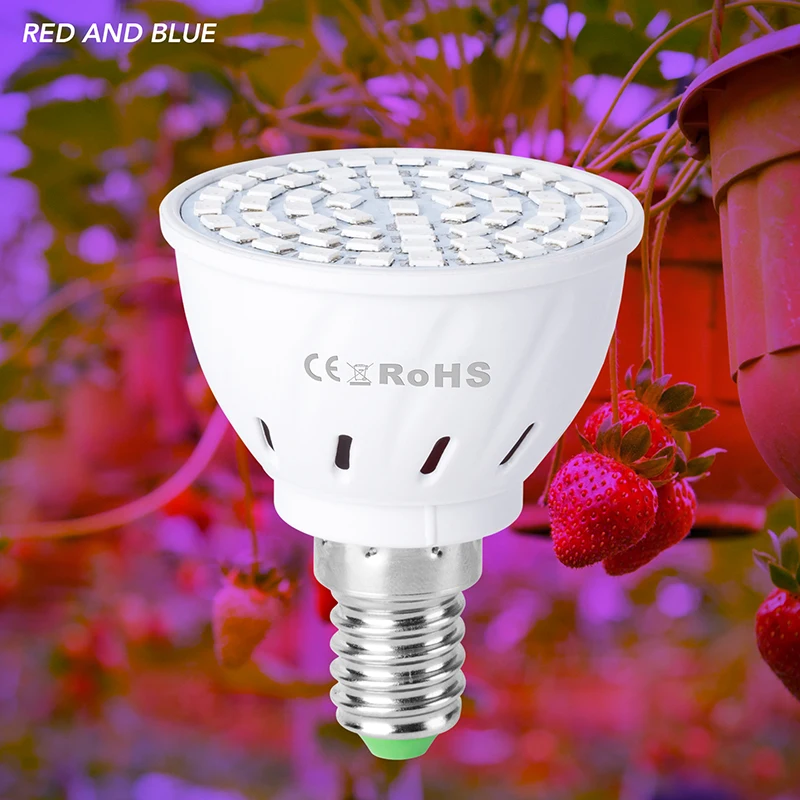 1 X LED Grow Light 220V E27 MR16 GU10 E14 B22 Hydroponic LED Plant Indoor Grow Lights High Quality
1 X LED Grow Light 220V E27 MR16 GU10 E14 B22 Hydroponic LED Plant Indoor Grow Lights High Quality