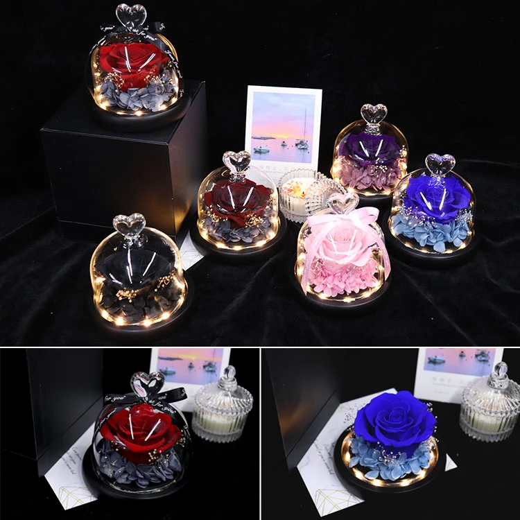 Preserved Flower Rose in Glass Dome with Lights Eternal Rose Gift for Valentine's Day Christmas Mother's Day F2
Preserved Flower Rose in Glass Dome with Lights Eternal Rose Gift for Valentine's Day Christmas Mother's Day F2