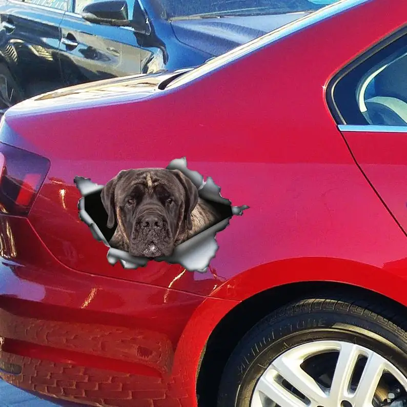 2021 Brindle mastiff car decal , brindle mastiff magnet, brindle mastiff sticker
2021 Brindle mastiff car decal , brindle mastiff magnet, brindle mastiff sticker