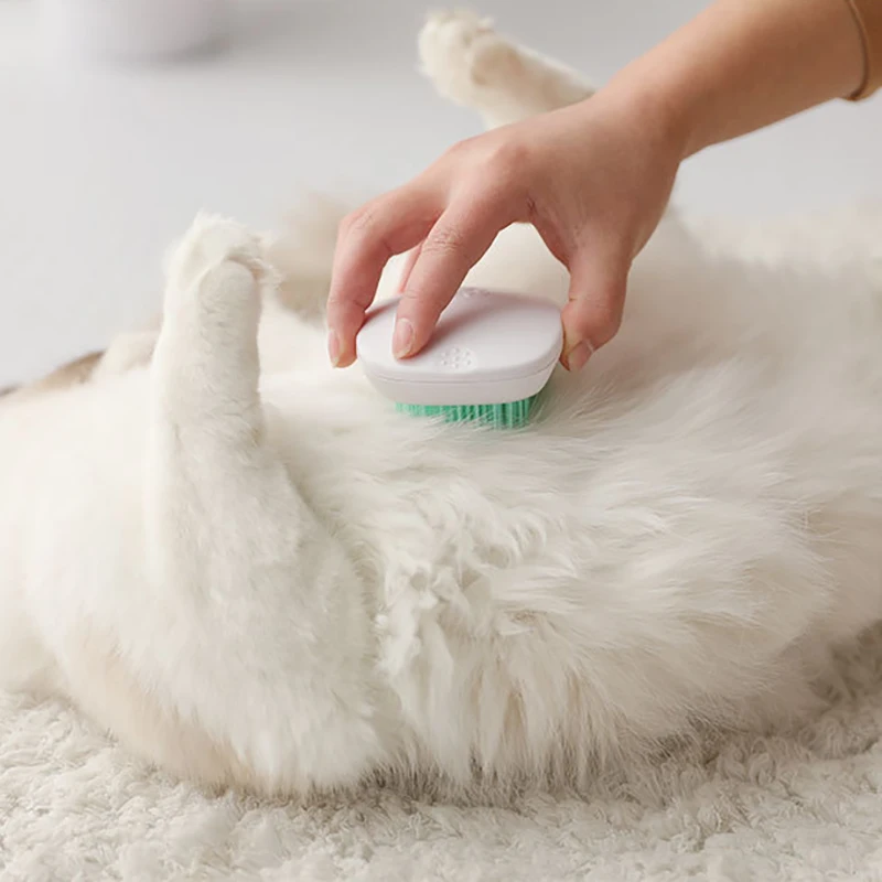 Dog Brush and Cat Brush,Pet Self Cleaning Slicker Brush for Shedding,Quick Release Comb,Professional Pet Hair Comb
Dog Brush and Cat Brush,Pet Self Cleaning Slicker Brush for Shedding,Quick Release Comb,Professional Pet Hair Comb