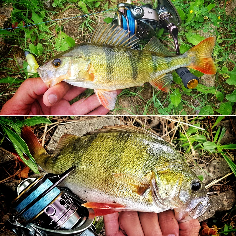 2 1000 2000 3000 6 
2 1000 2000 3000 6