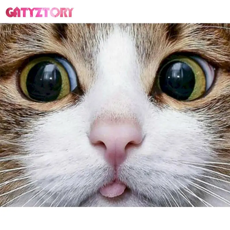 GATYZTORY 5D DIY Diamond Full Square Diamond Painting Cats Animal Embroidery Kits Animals Mosaic Cherry Blossoms Home Decor
GATYZTORY 5D DIY Diamond Full Square Diamond Painting Cats Animal Embroidery Kits Animals Mosaic Cherry Blossoms Home Decor