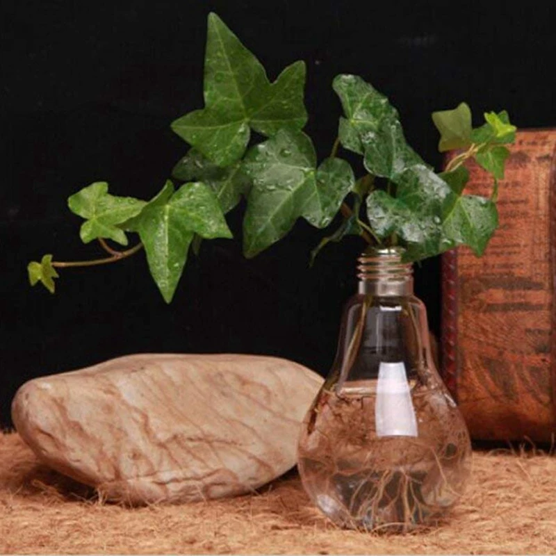 1 Pcs Transparent Glass Bulb Shape Table Vase & 3 Pcs Hanging Planters Basket,Flower Pot Rack Hanging Planter Baskets
1 Pcs Transparent Glass Bulb Shape Table Vase & 3 Pcs Hanging Planters Basket,Flower Pot Rack Hanging Planter Baskets