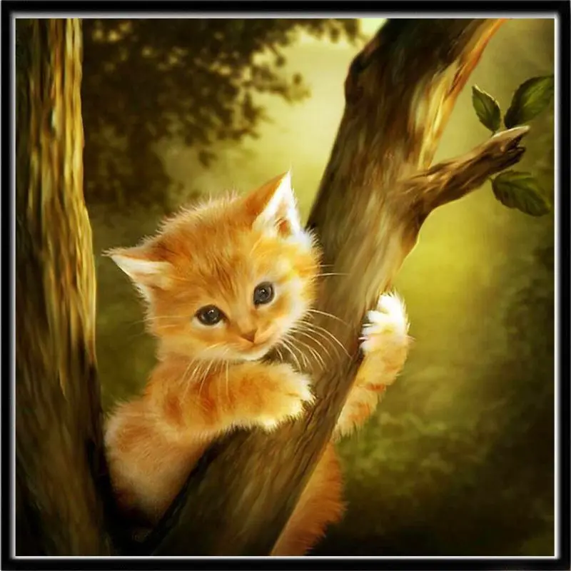 5D DIY Diamond Painting Kits for Adults Full Drill Crystal Rhinestone Embroidery Cross Stitch Arts Craft Canvas Wall Dec
5D DIY Diamond Painting Kits for Adults Full Drill Crystal Rhinestone Embroidery Cross Stitch Arts Craft Canvas Wall Dec