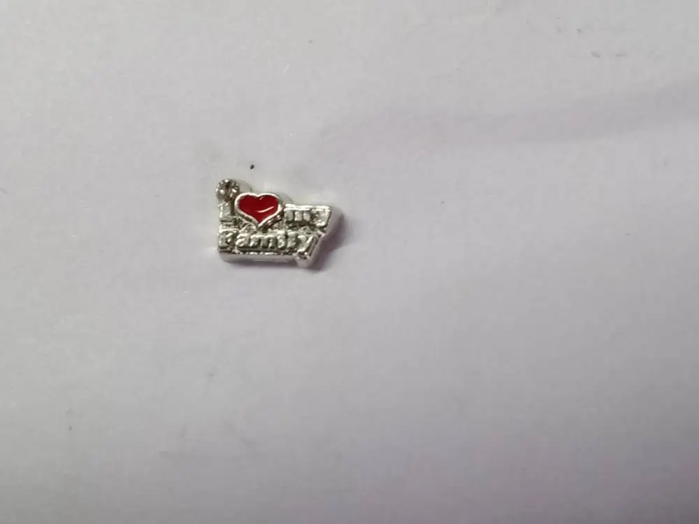 10 шт. декоративный медальон со стеклом и надписью I love my Family|living memory|charms floating