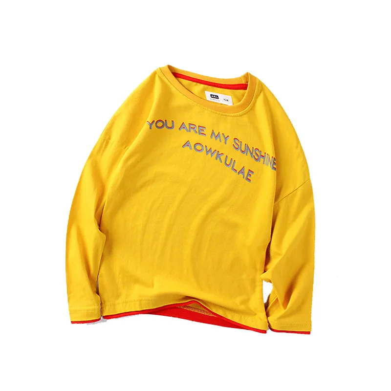 kids wear fashion Korean long-sleeved T-shirt sweatshirt cotton letter printing boy girl high-quality children's bottoming shirt
kids wear fashion Korean long-sleeved T-shirt sweatshirt cotton letter printing boy girl high-quality children's bottoming shirt