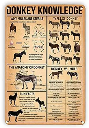12X8 Inch Tin Signs Donkey Knowledge Retro Metal Tin Signs Vintage Style Sign Wall Plaque Art Decoration Mural Funny Gifts for
12X8 Inch Tin Signs Donkey Knowledge Retro Metal Tin Signs Vintage Style Sign Wall Plaque Art Decoration Mural Funny Gifts for