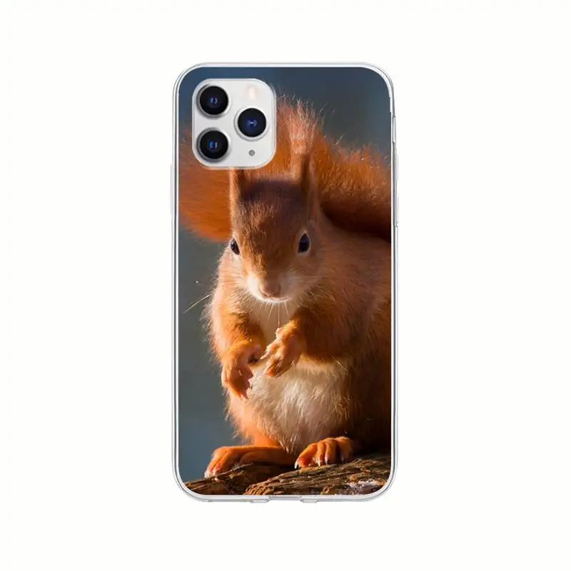 Cute Squirrel Transparent Mobile Phone Case For Xiaomi Redmi K30s Ultra Note 8 9 Pro Max 9s 10T Pro 11 10 Lite Clear Cover
Cute Squirrel Transparent Mobile Phone Case For Xiaomi Redmi K30s Ultra Note 8 9 Pro Max 9s 10T Pro 11 10 Lite Clear Cover