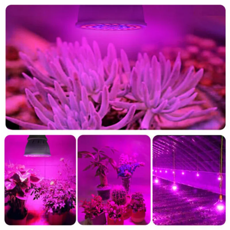 LED Grow Plant Light E27 Phytolamp Full Spectrum Heat Dissipation LED Lamp 220V for Greenhouse Seeds Plants Flower Hydroponics
LED Grow Plant Light E27 Phytolamp Full Spectrum Heat Dissipation LED Lamp 220V for Greenhouse Seeds Plants Flower Hydroponics