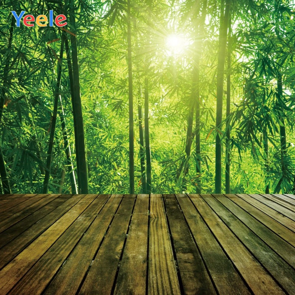 Spring Green Forest Bamboo Wood Board Floor Nature Scenery Backdrop Baby Portrait Vinyl Photography Background For Photo Studio
Spring Green Forest Bamboo Wood Board Floor Nature Scenery Backdrop Baby Portrait Vinyl Photography Background For Photo Studio