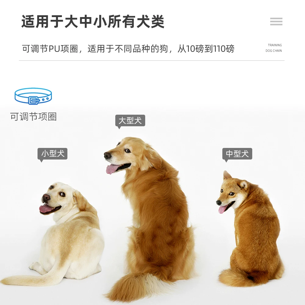 300m Dog training collar 998DR Dog Collars Shock Vibration beep Rechargeable Rainproof Remote Electric dog's necklaces
300m Dog training collar 998DR Dog Collars Shock Vibration beep Rechargeable Rainproof Remote Electric dog's necklaces