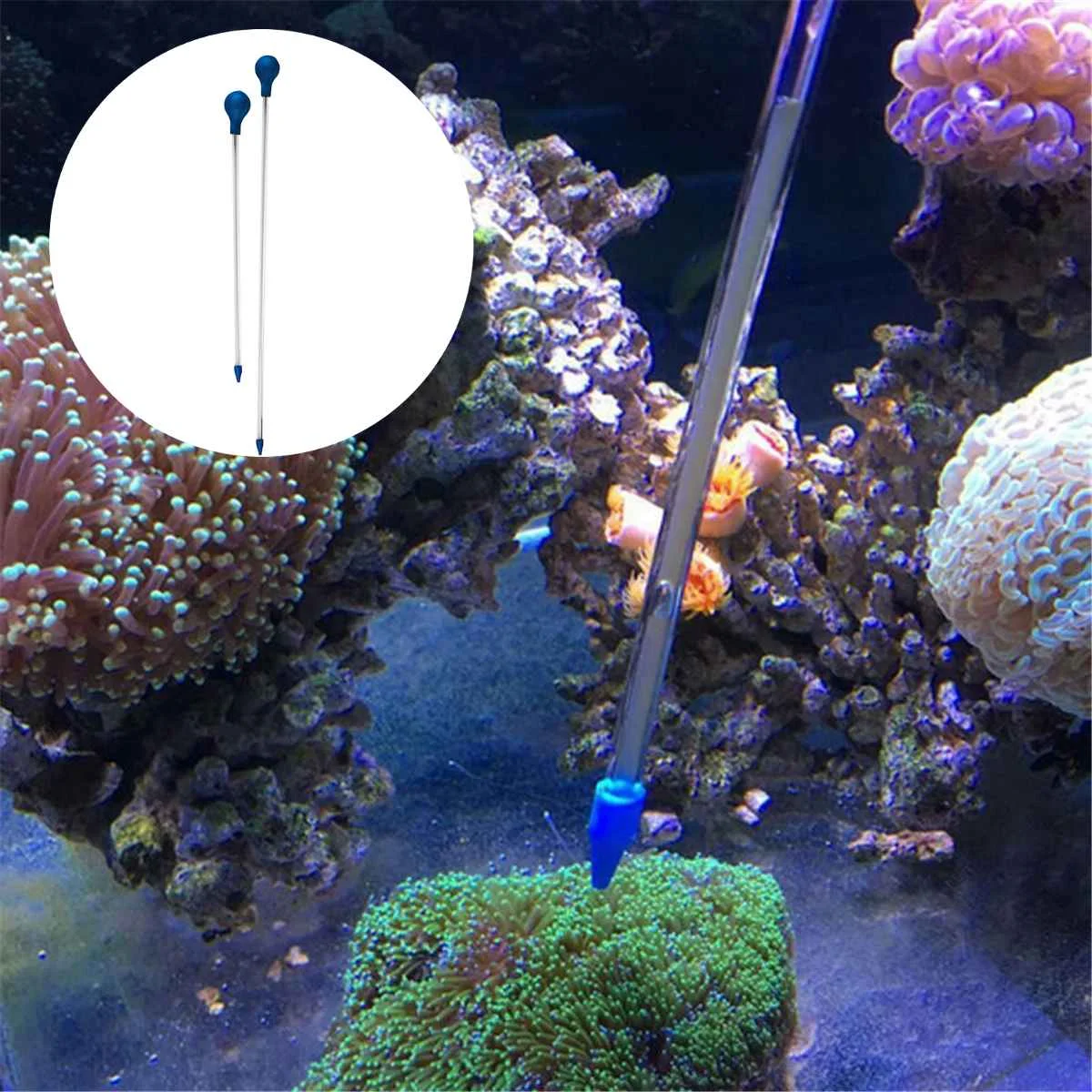 Arcylic Coral Feeder SPS HPS Tube Liquid Fertilizer Add Reef Tank Fresh Water Aquarium Upgrade Ultra Powerful Coral Feeding Tube
Arcylic Coral Feeder SPS HPS Tube Liquid Fertilizer Add Reef Tank Fresh Water Aquarium Upgrade Ultra Powerful Coral Feeding Tube