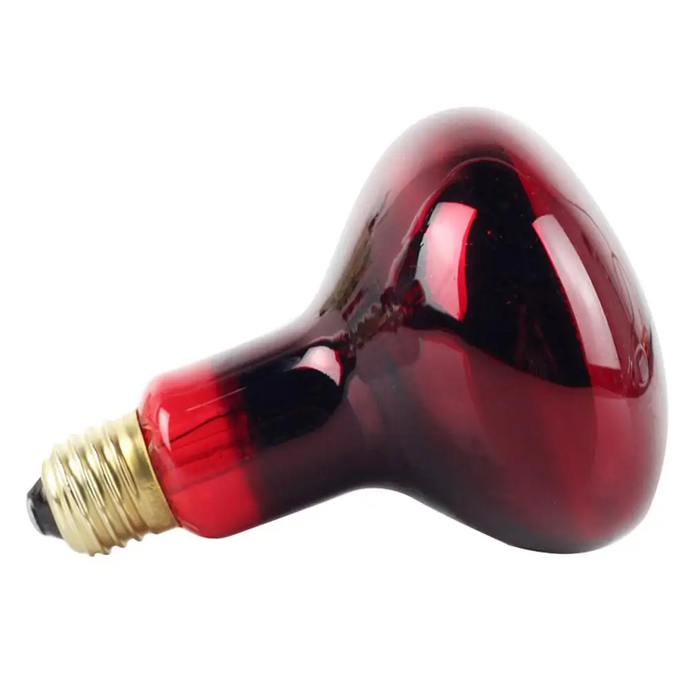 【Clearance Sale】150W R95 Basking Spotlight Reptile Heat Bulb Lamp Spot Lighting Animals Warm Thermal Reptile Heat Bulb
【Clearance Sale】150W R95 Basking Spotlight Reptile Heat Bulb Lamp Spot Lighting Animals Warm Thermal Reptile Heat Bulb