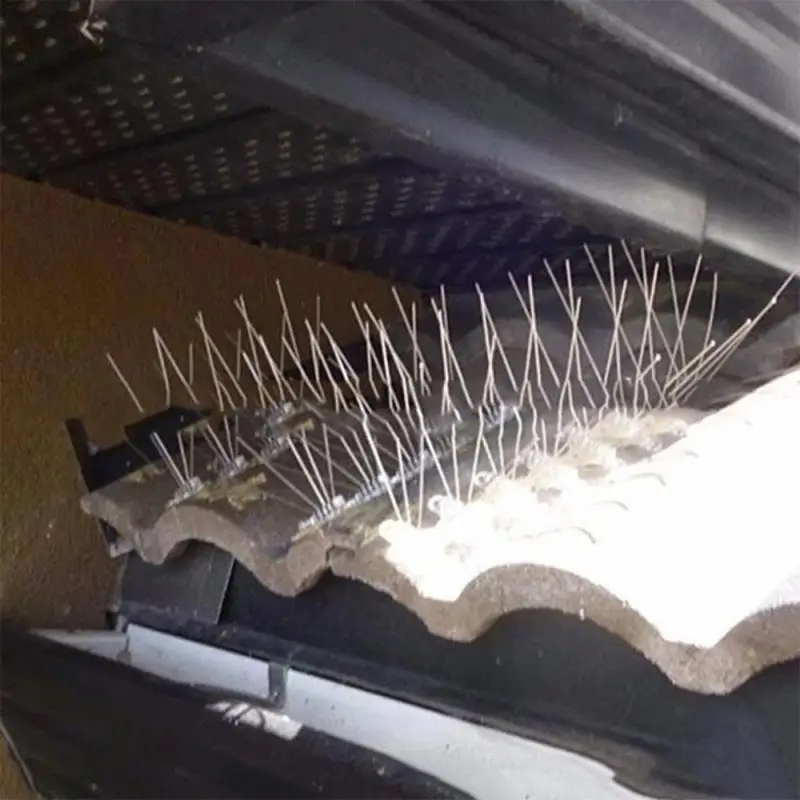 Hot Sale Garden Repeller Bird And Pigeon Spikes Deterrent Anti Bird Stainless Steel Spike Strip Bird Scarer Repeller For Pigeon
Hot Sale Garden Repeller Bird And Pigeon Spikes Deterrent Anti Bird Stainless Steel Spike Strip Bird Scarer Repeller For Pigeon