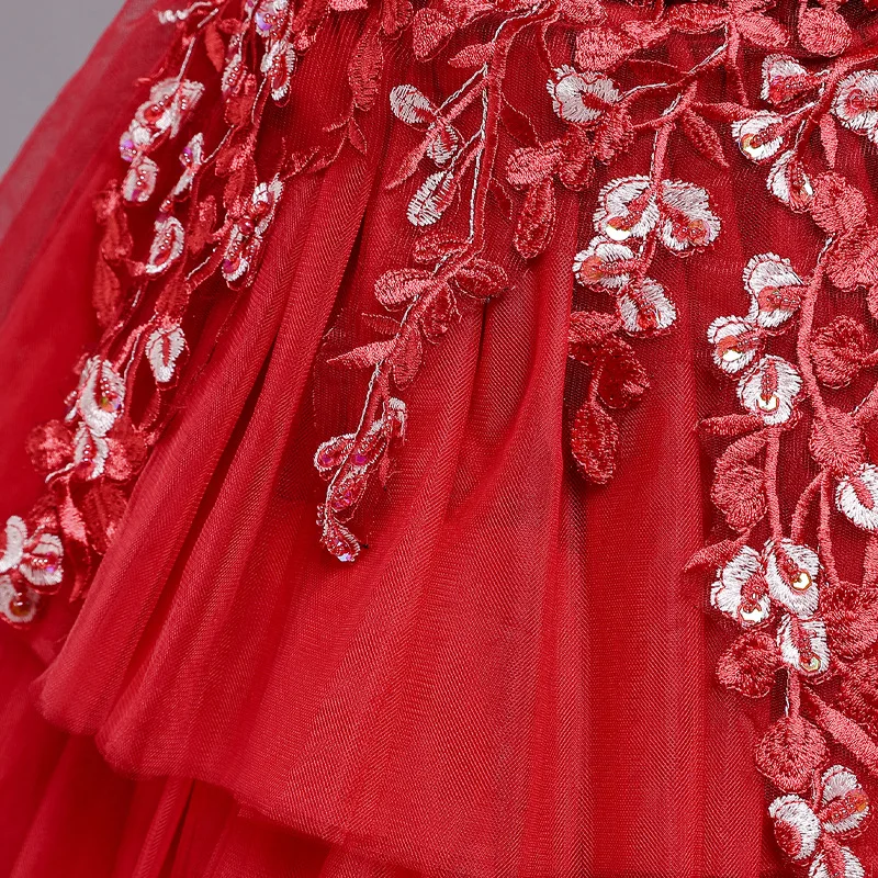 Baby Girl Pageant Flower Princess Dress for Wedding Party Tutu Kids Dresses for Toddler Girl Children Fashion Clothing 3-12Yrs
Baby Girl Pageant Flower Princess Dress for Wedding Party Tutu Kids Dresses for Toddler Girl Children Fashion Clothing 3-12Yrs