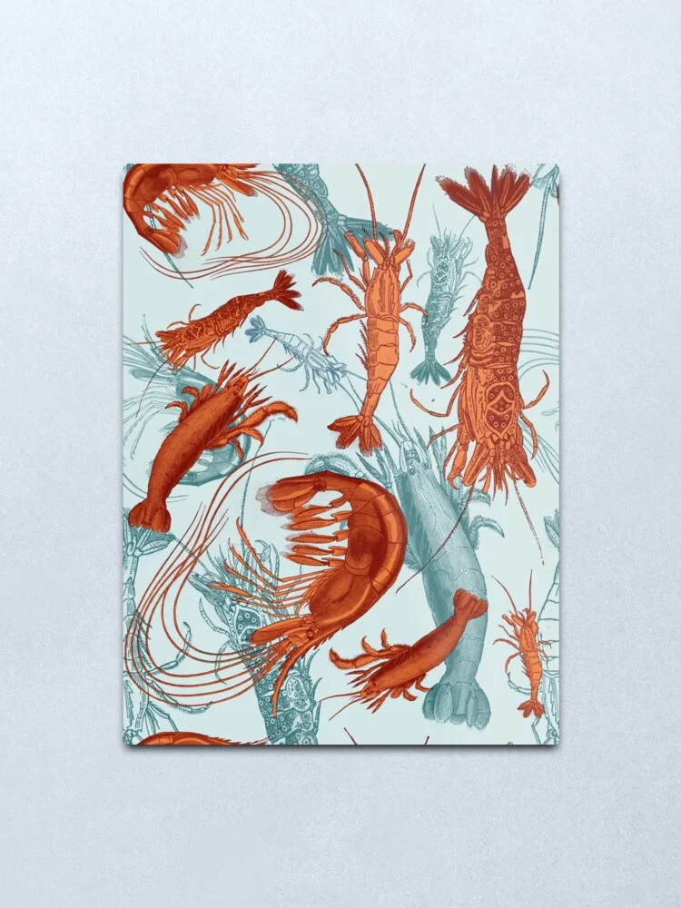 Shrimp - Orange and Turquoise Metal Print Tin Sign Bar Home Wall Decor Metal Art Poster
Shrimp - Orange and Turquoise Metal Print Tin Sign Bar Home Wall Decor Metal Art Poster