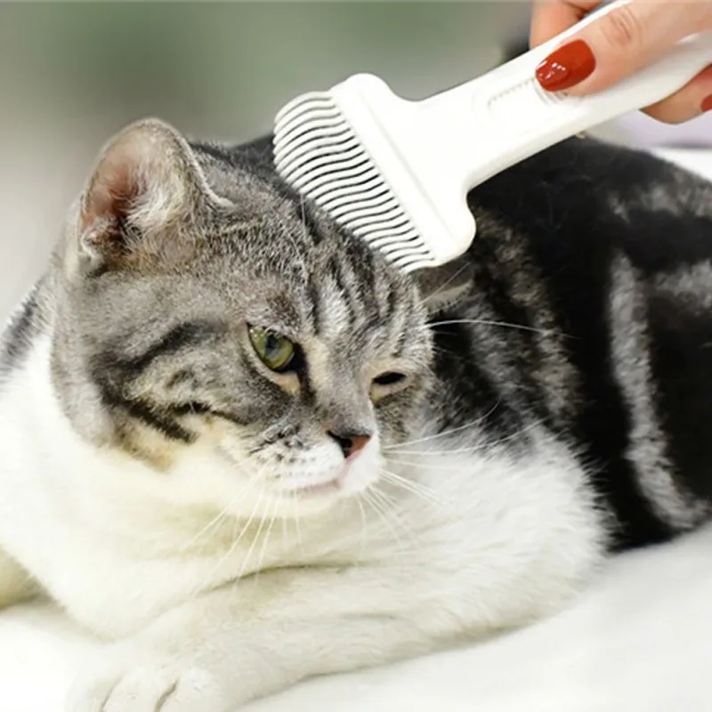 Pet Cat Dog Massage Comb Long Handle Shell Comb Hair Removal Shedding Cleaning Brush Pet Cat Grooming Open Knot Rake Combs
Pet Cat Dog Massage Comb Long Handle Shell Comb Hair Removal Shedding Cleaning Brush Pet Cat Grooming Open Knot Rake Combs