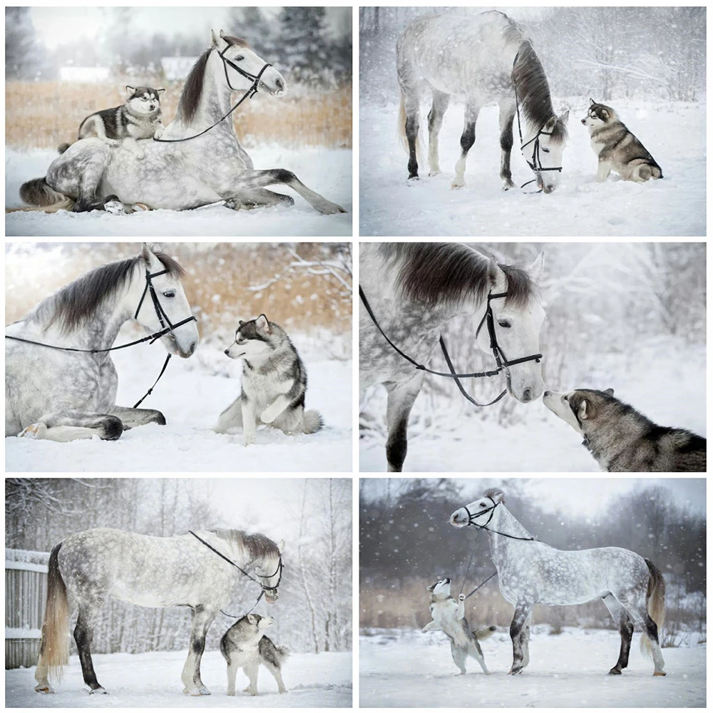 MomoArt 5D DIY Diamond Painting Horse Rhinestone Picture Embroidery Dog Animal Cross Stitch Snow Wall Decoration | Дом и сад