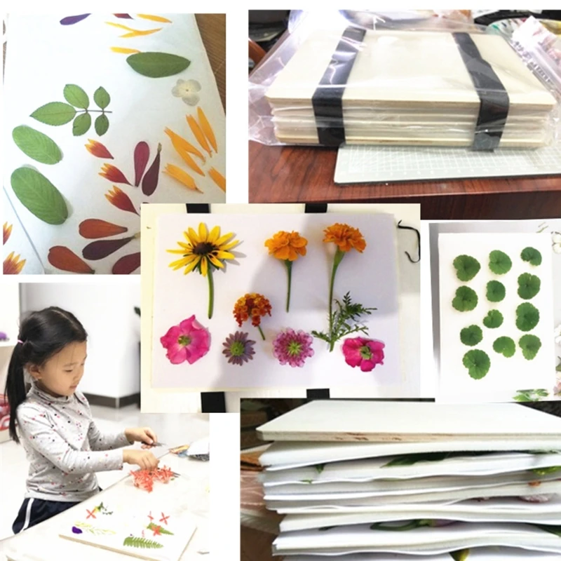 Professional Flower Press Kit 7 x 9.5 inch 6 Layers Large Leaf Plant Press Set 
Professional Flower Press Kit 7 x 9.5 inch 6 Layers Large Leaf Plant Press Set