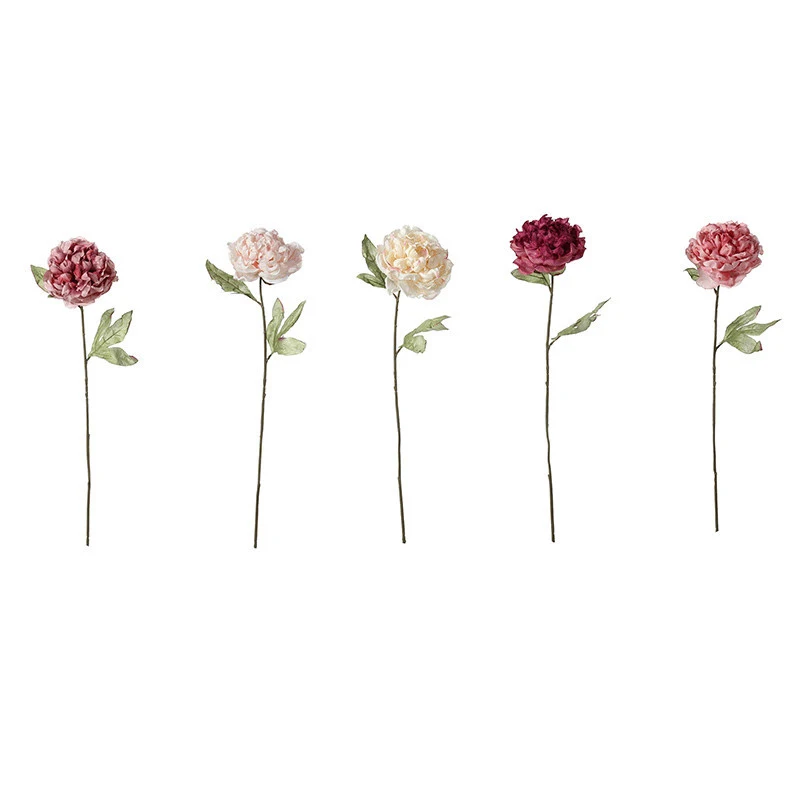 1 Stems Peony Artificial Flower Wedding Use Fake Flower Furnishings Bedroom Floor Simulation Bouquet
1 Stems Peony Artificial Flower Wedding Use Fake Flower Furnishings Bedroom Floor Simulation Bouquet