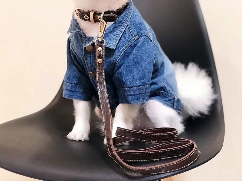 New Dogs Collar Fashion PU Leather Collar For Dogs Small Pet Cat Leashes For Puppy Akita French Bulldog Pug Pet Products
New Dogs Collar Fashion PU Leather Collar For Dogs Small Pet Cat Leashes For Puppy Akita French Bulldog Pug Pet Products