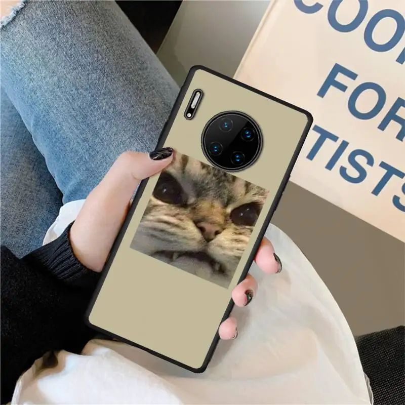 Lovely Cat Brow Looks Phone Case for Huawei P9 P10 P20 P30 P40 lite Pro smart 2016 2017 2019 2020 Fundas Cover
Lovely Cat Brow Looks Phone Case for Huawei P9 P10 P20 P30 P40 lite Pro smart 2016 2017 2019 2020 Fundas Cover