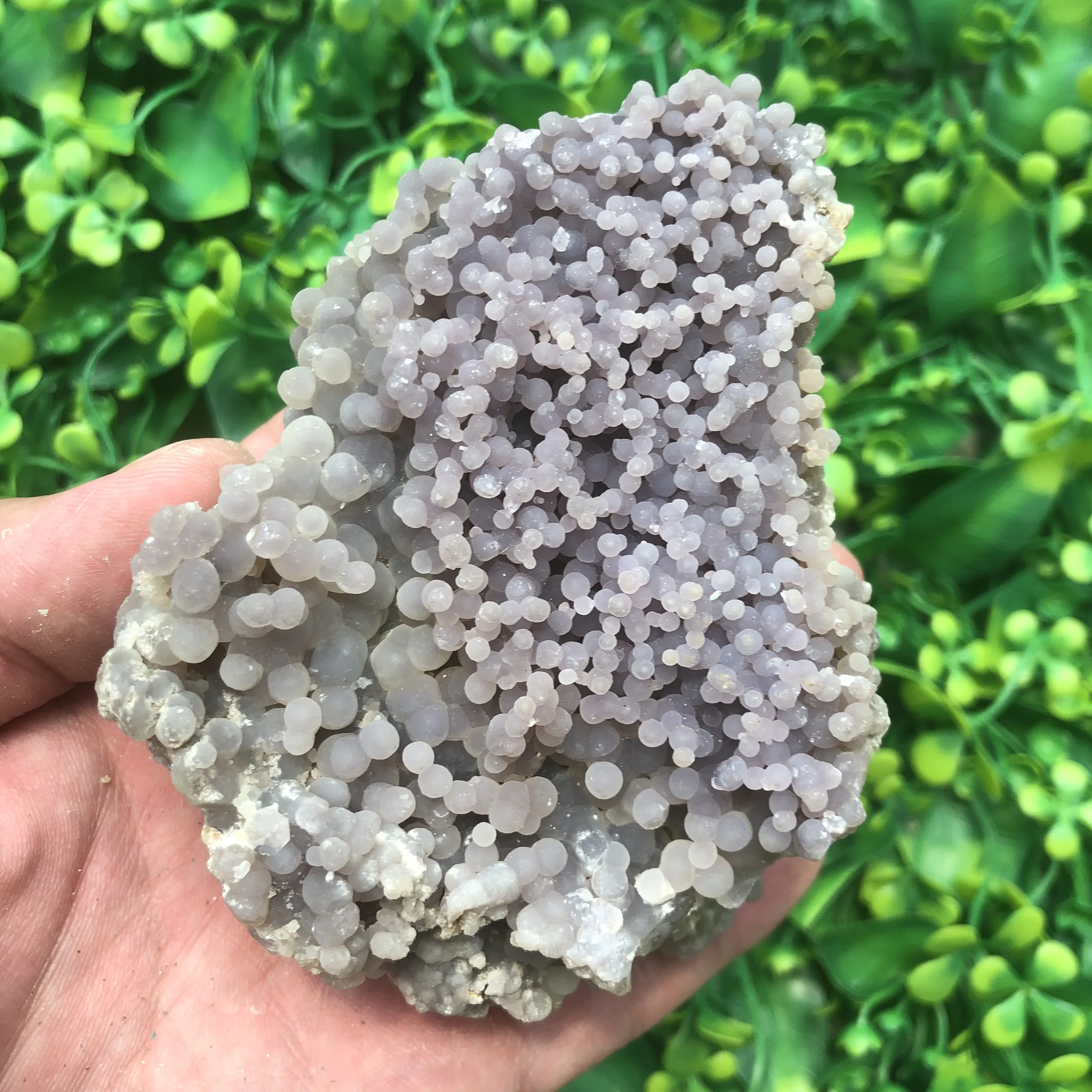 1pc Natural Crystals Quartz Purplr Grape Ore Stones Specimen Palm Energy Reiki Home Aquarium Decoration Accessories Gemstone
1pc Natural Crystals Quartz Purplr Grape Ore Stones Specimen Palm Energy Reiki Home Aquarium Decoration Accessories Gemstone