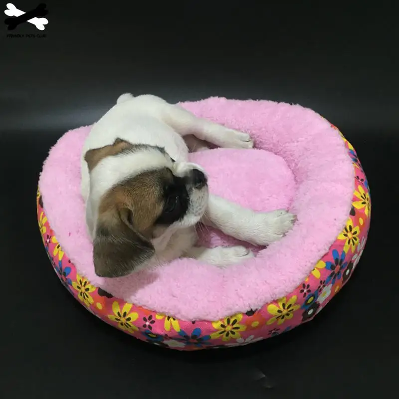 Pet Products
Pet Products