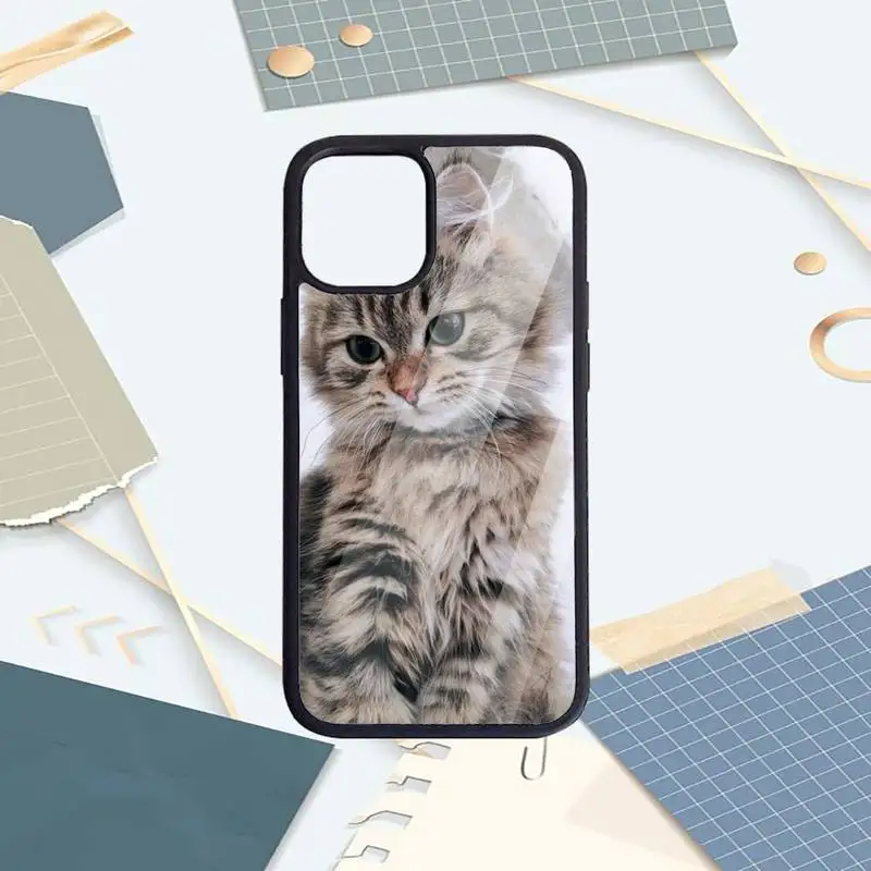 Cute animal cat Phone Cases PC for iPhone 11 12 pro XS MAX 8 7 6 6S Plus X 5S SE 2020 XR Luxury brand shell funda
Cute animal cat Phone Cases PC for iPhone 11 12 pro XS MAX 8 7 6 6S Plus X 5S SE 2020 XR Luxury brand shell funda