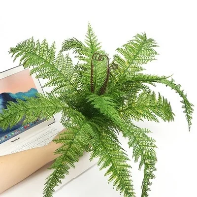 40cm Artificial Green Plants Persian Grass, Branch Plants, Fake Green Leaves, Wedding Party Home Garden Decoration Fake Flowers
40cm Artificial Green Plants Persian Grass, Branch Plants, Fake Green Leaves, Wedding Party Home Garden Decoration Fake Flowers