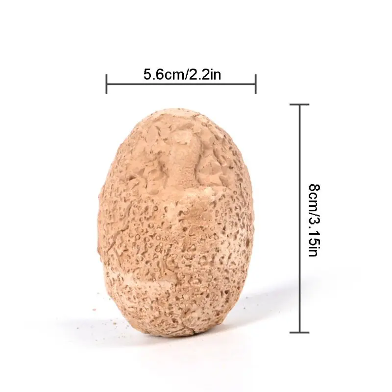 12 Boxed Archaeological Excavation Toys Dinosaur Fossil Science Education Dinosaur Eggs Kit Surprise Gift for Kids
12 Boxed Archaeological Excavation Toys Dinosaur Fossil Science Education Dinosaur Eggs Kit Surprise Gift for Kids