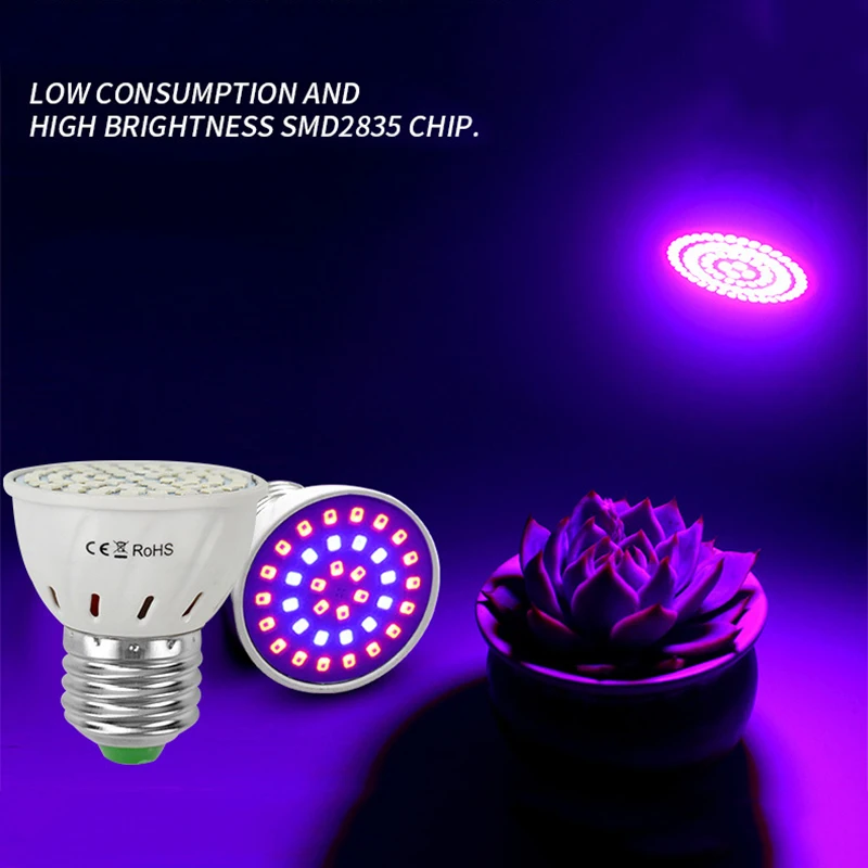 Full Spectrum Lamp 220V Grow Led Hydroponic Light LED Phyto Lamp 48 60 80led Indoor Growing Bulb UV IR Greenhouse Fitolamp
Full Spectrum Lamp 220V Grow Led Hydroponic Light LED Phyto Lamp 48 60 80led Indoor Growing Bulb UV IR Greenhouse Fitolamp