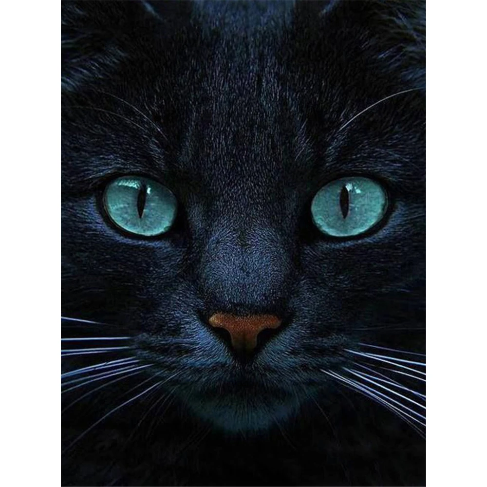 Cat Animal DIY 11CT Cross Stitch Embroidery Kits Needlework Craft Set Printed Canvas Cotton Thread Home Decoration Wholesale
Cat Animal DIY 11CT Cross Stitch Embroidery Kits Needlework Craft Set Printed Canvas Cotton Thread Home Decoration Wholesale