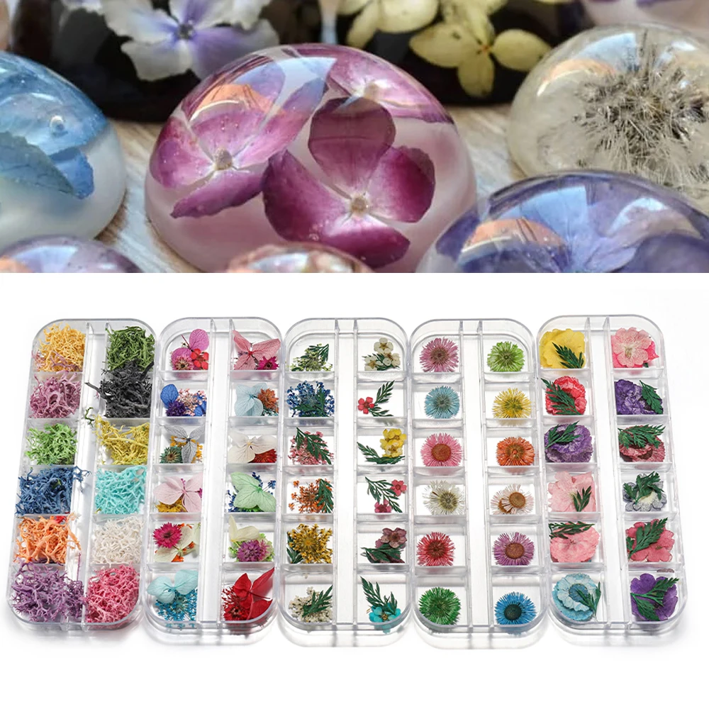 1Box Ammi Majus Real Dried Flower Dry Plants For Epoxy Resin Pendant Jewelry Making Craft DIY Accessories Nail Art Decals Candle
1Box Ammi Majus Real Dried Flower Dry Plants For Epoxy Resin Pendant Jewelry Making Craft DIY Accessories Nail Art Decals Candle