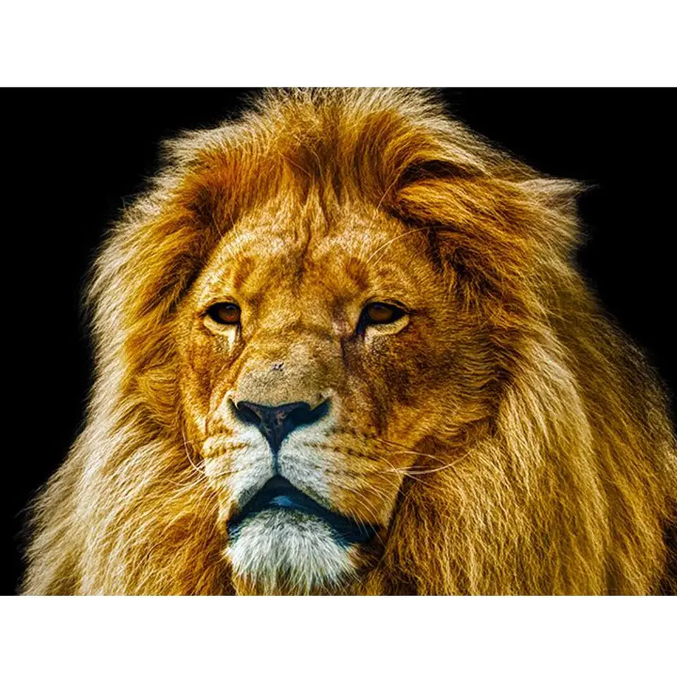 5D DIY Diamond Painting Lion Head Animal Full Diamond Embroidery Mosaic Picture of Rhinestones Cross Stitch Home Decor Gifts
5D DIY Diamond Painting Lion Head Animal Full Diamond Embroidery Mosaic Picture of Rhinestones Cross Stitch Home Decor Gifts