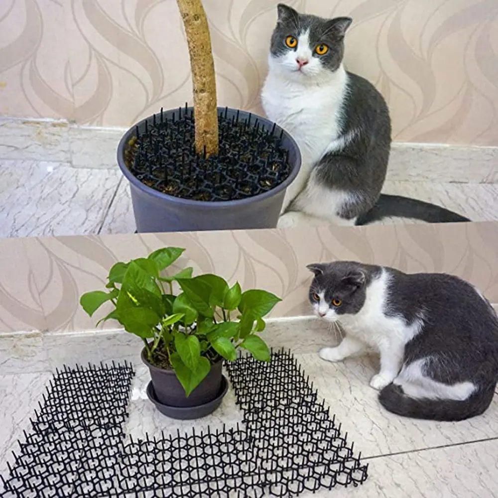 Сетчатый коврик для кошек, отталкивающий мат из пластика, 2/4 м, для кошек и собак
Сетчатый коврик для кошек, отталкивающий мат из пластика, 2/4 м, для кошек и собак
