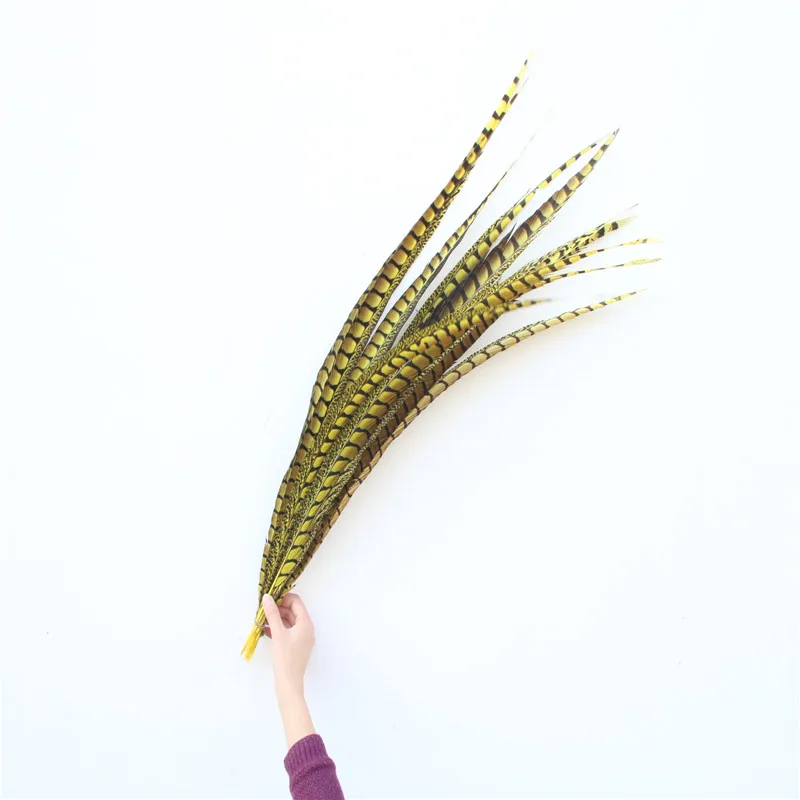 100pcs/lot dyeing yellow Lady Amherst Pheasant Tail Feathers For crafts 36-40inch 90-100CM DIY party holiday performance plumas
100pcs/lot dyeing yellow Lady Amherst Pheasant Tail Feathers For crafts 36-40inch 90-100CM DIY party holiday performance plumas