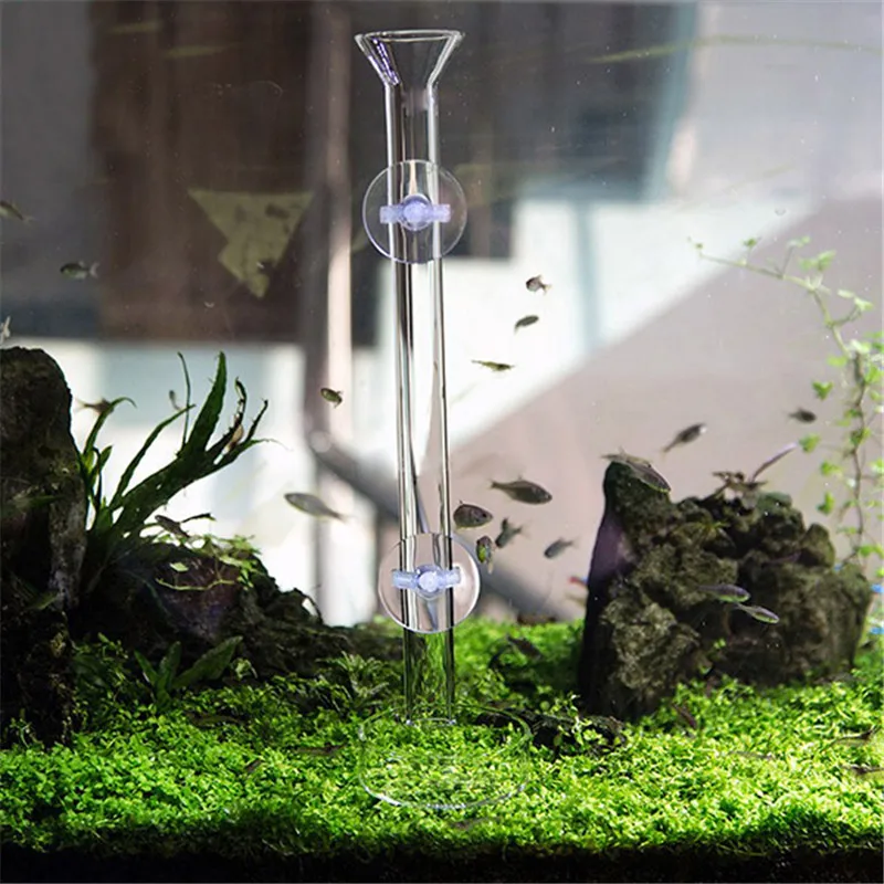 Aquarium Glass Feeder Transparent Tube Bowl Shrimp Feeding Food With 6CM Round Dish Safe 6 Size
Aquarium Glass Feeder Transparent Tube Bowl Shrimp Feeding Food With 6CM Round Dish Safe 6 Size
