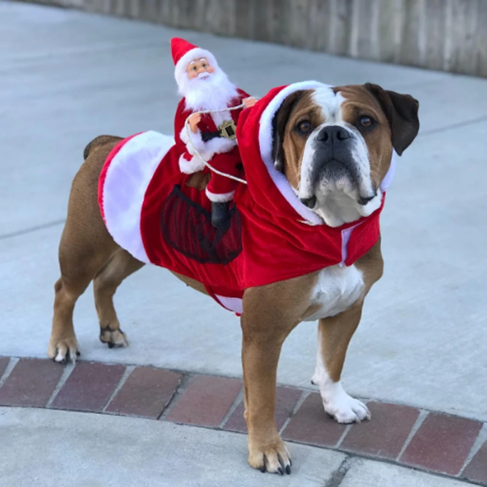 2019 new Christmas santa Dog Costume Dog Apparel Party Dressing up Clothing for Small Large Dogs Cats Clothes Pet Outfit
2019 new Christmas santa Dog Costume Dog Apparel Party Dressing up Clothing for Small Large Dogs Cats Clothes Pet Outfit
