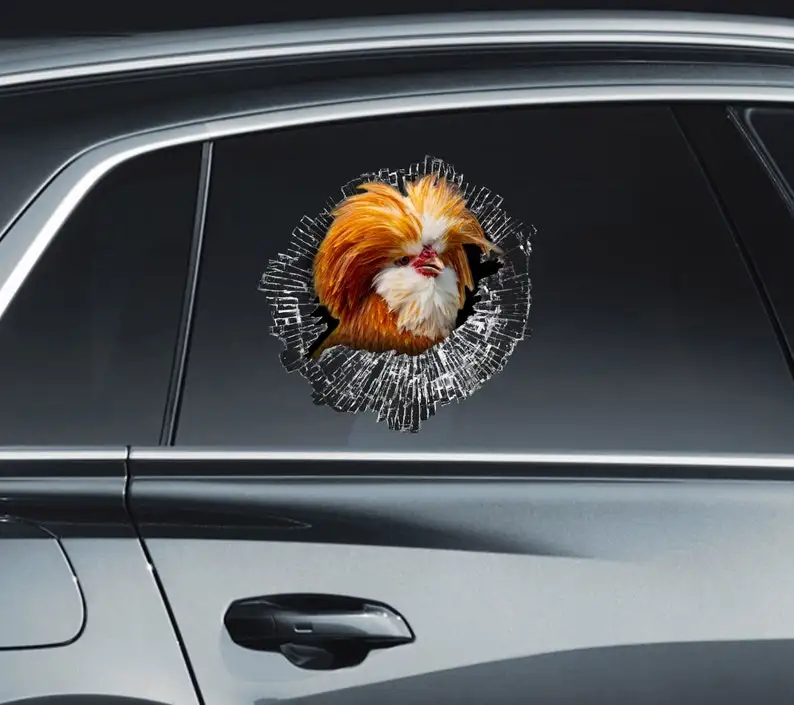 Polish chicken Car sticker Polish chicken glass Chicken sticker Hen sticker Polish stickers Auto art Polish hen sticker
Polish chicken Car sticker Polish chicken glass Chicken sticker Hen sticker Polish stickers Auto art Polish hen sticker