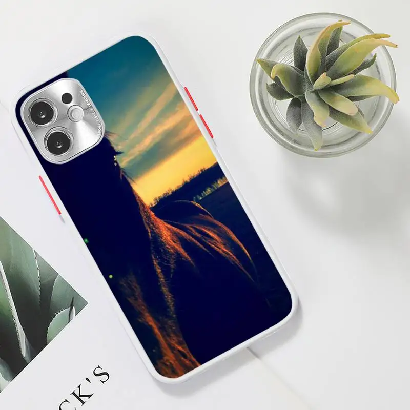Frederik The Great beauty horse Phone Case Clear matte transparent For white iPhone 7 8 x xs xr 11 12 pro plus max mini Funda 
Frederik The Great beauty horse Phone Case Clear matte transparent For white iPhone 7 8 x xs xr 11 12 pro plus max mini Funda