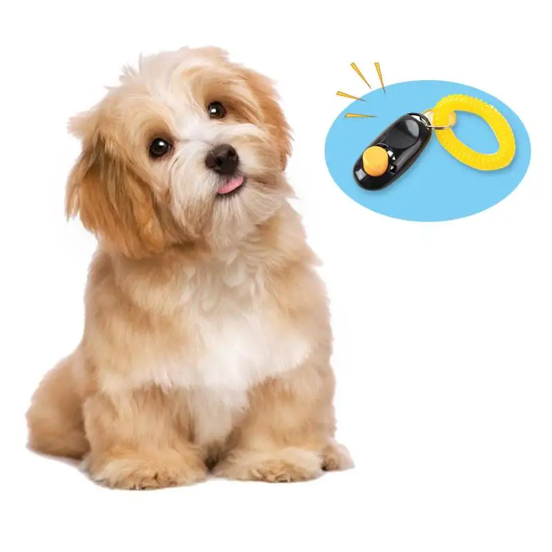 Creative Pet Dog Trainer Puppy Whistle Clicker Aid Guide With Wrist Strap Key Ring Dogs Training Device Dog Supplies Pet Product
Creative Pet Dog Trainer Puppy Whistle Clicker Aid Guide With Wrist Strap Key Ring Dogs Training Device Dog Supplies Pet Product