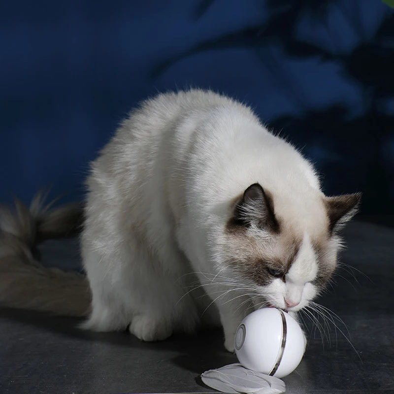 USB Smart Electric Cat Intelligent Toy Interactive Ball Toys LED Rotating Funny Training Playing Pet Supplies | Дом и сад