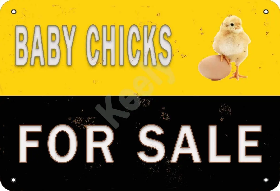 

Keely Baby цыплята для продажи, металлический винтажный жестяной знак, настенное украшение 12x8 дюймов для кафе, кофе, баров, ресторанов, пабов, муж...