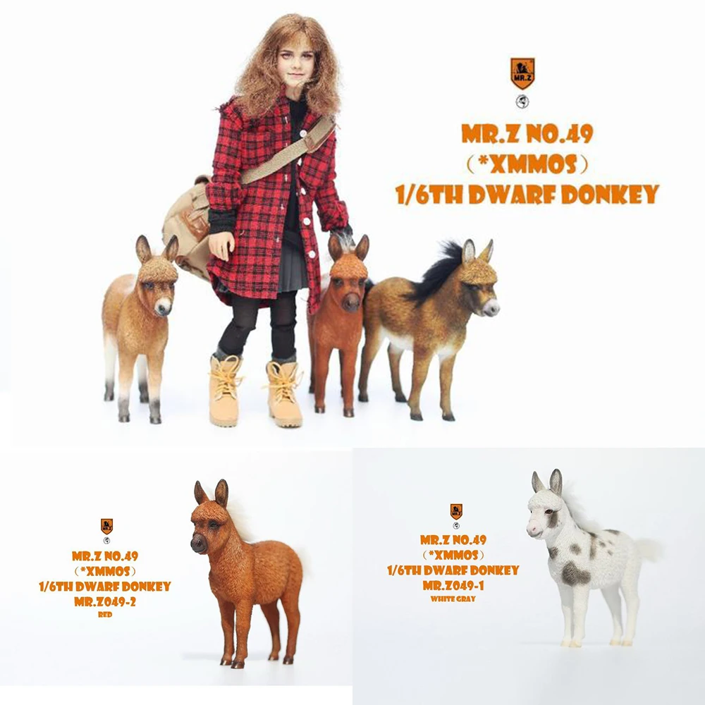 Collectible 1/6 Scale Female Soldier Scene Accessory Mr.Z MRZ049 Simulation Animal Model Little Donkey For 12 '' Action Figure
Collectible 1/6 Scale Female Soldier Scene Accessory Mr.Z MRZ049 Simulation Animal Model Little Donkey For 12 '' Action Figure