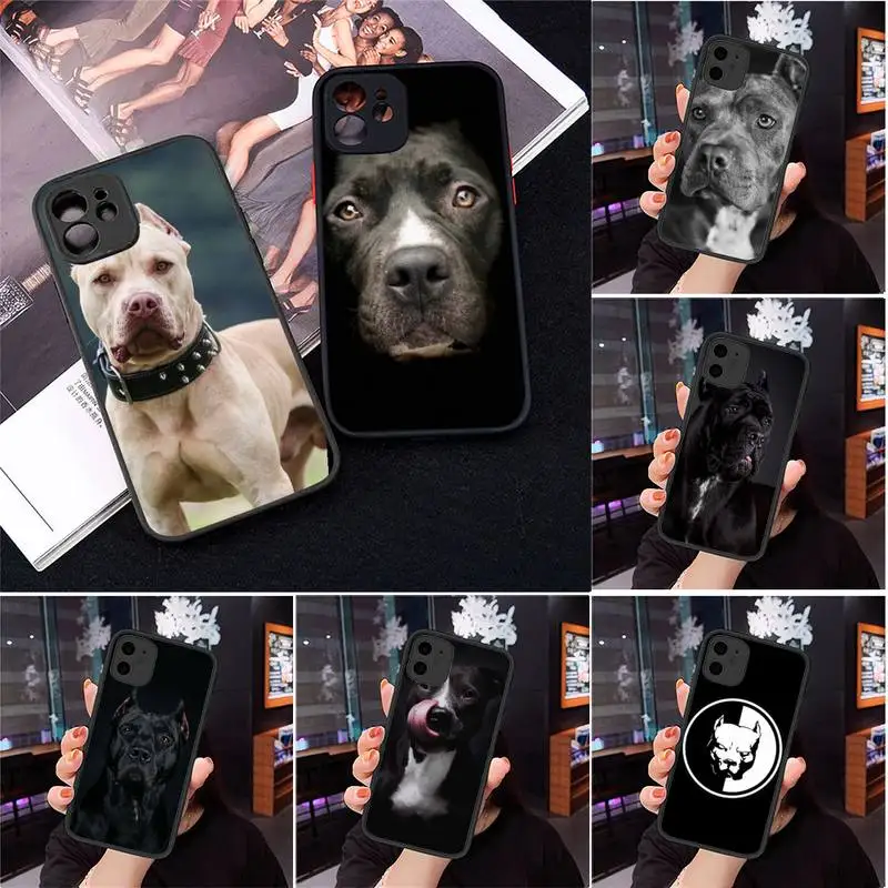 Матовый Прозрачный чехол для телефона с милой собакой питбуля iPhone 7 8 11 12 s mini pro X XS